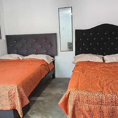 Quinoa Backpackers Hostel 利马 外观 照片