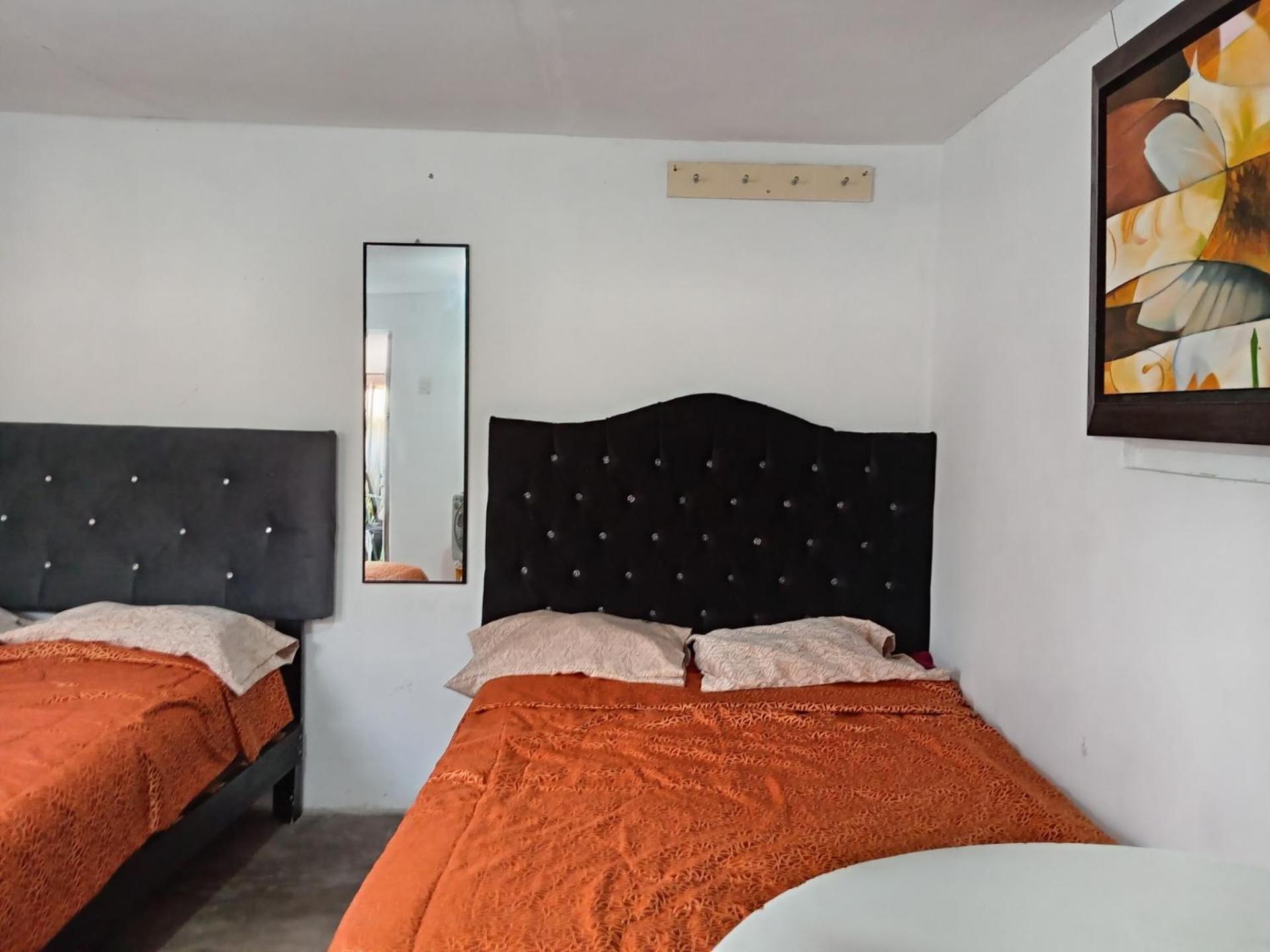 Quinoa Backpackers Hostel 利马 外观 照片