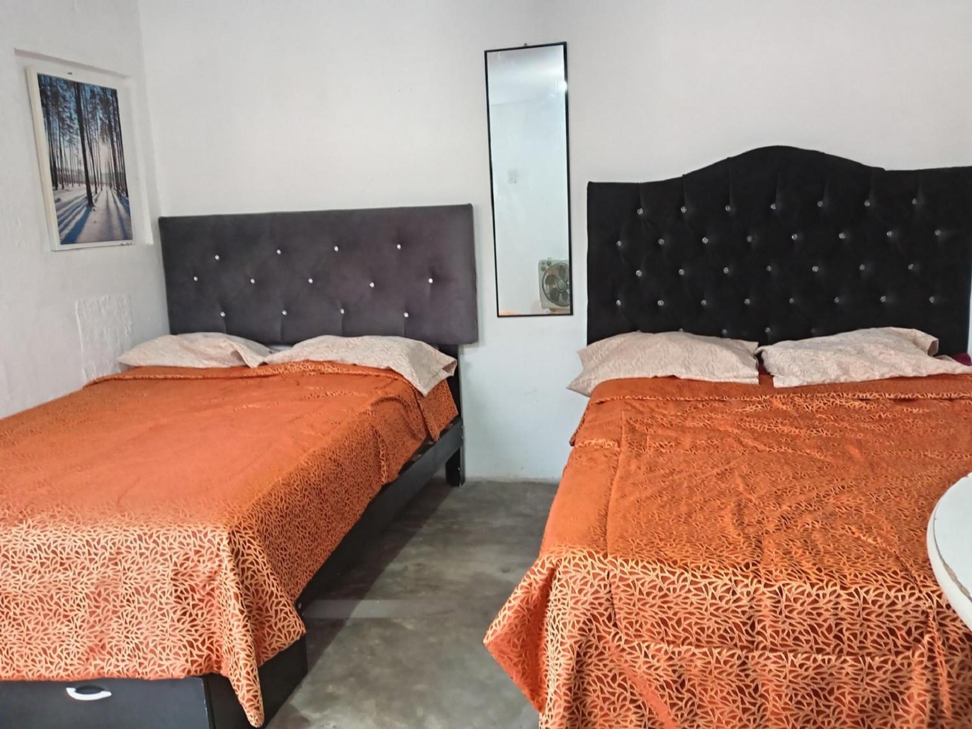 Quinoa Backpackers Hostel 利马 外观 照片